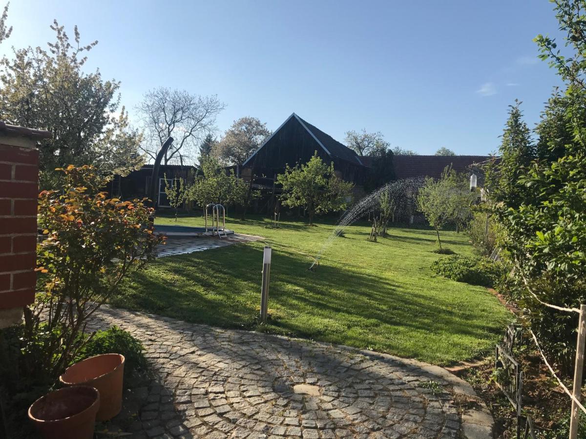 Helle, Offene Dachgeschosswohnung Mit Terrasse Oberloisdorf エクステリア 写真
